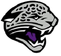 Jaguar head