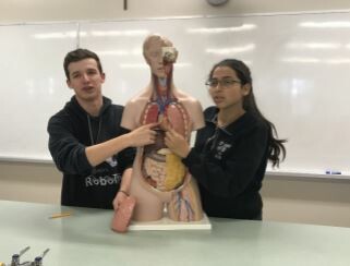 Picture of students holding a model of a person